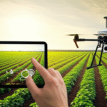 ia aprimora rastreabilidade agronegocio