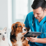 ia revoluciona pratica veterinaria caes gatos