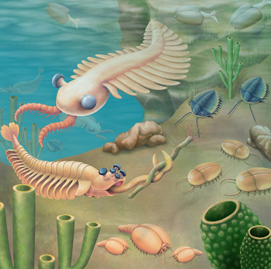 esponjas marinhas os primeiros animais da terra