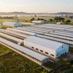 jbs compra granjas ovos frangos ceu azul