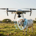 parnaiba drones ia combate maus tratos animais