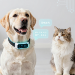 coleira tradutor de pets ia